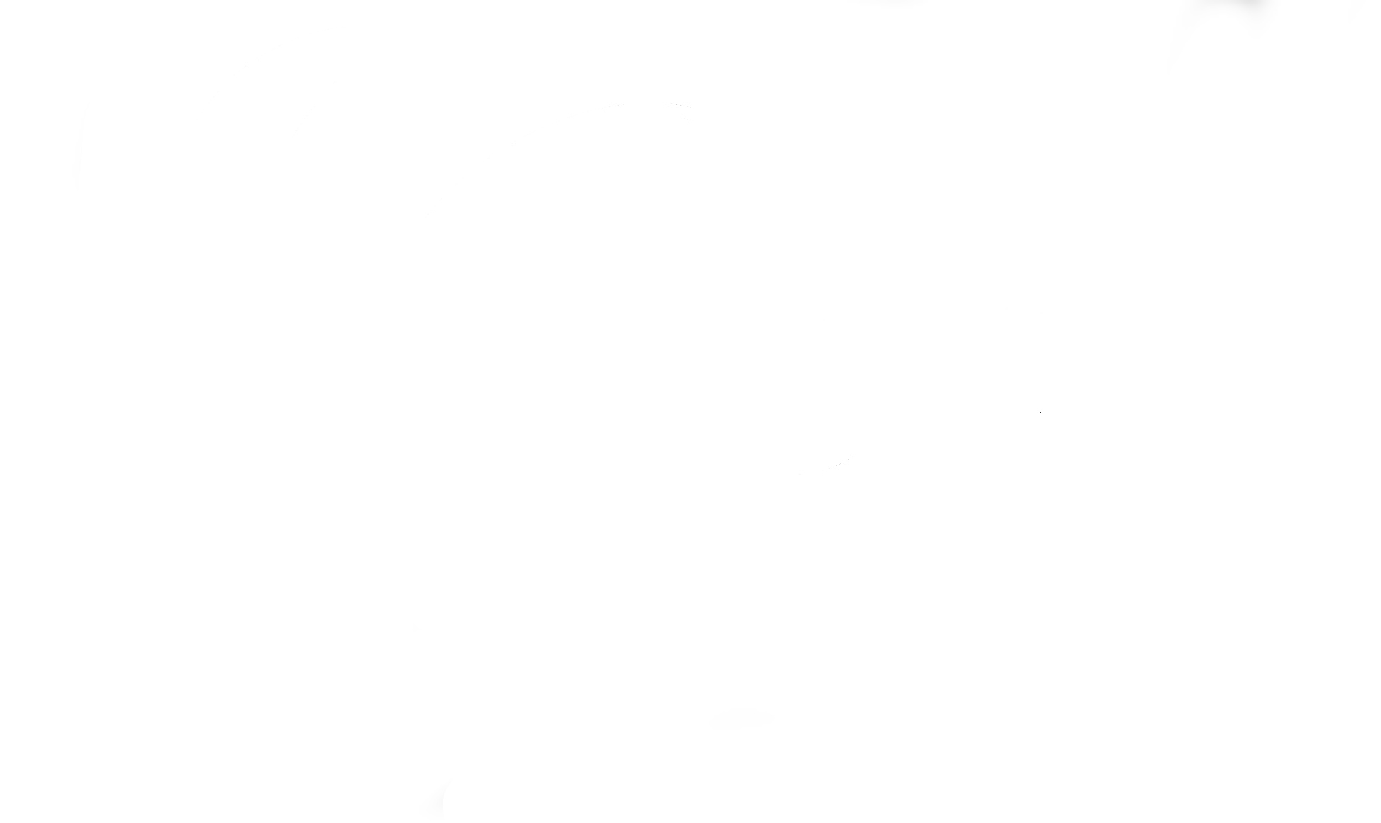 logo zoom tenis academy